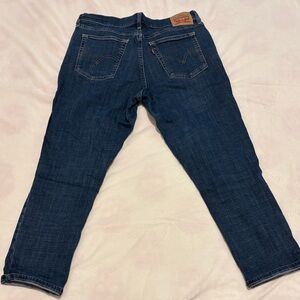 Levi's Dark Blue Denim Pants